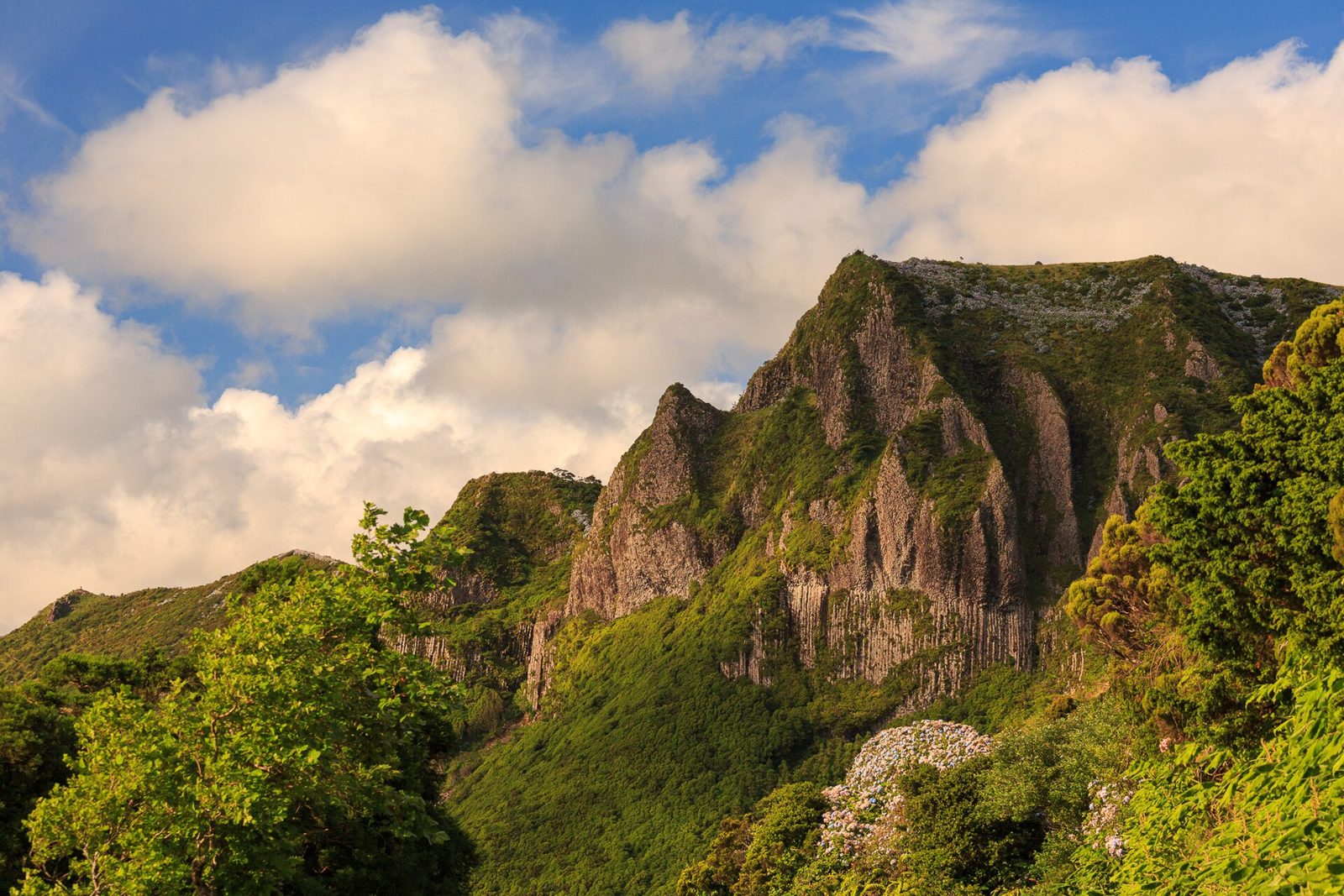 The wall of basalt columns at Rocha dos Bordões