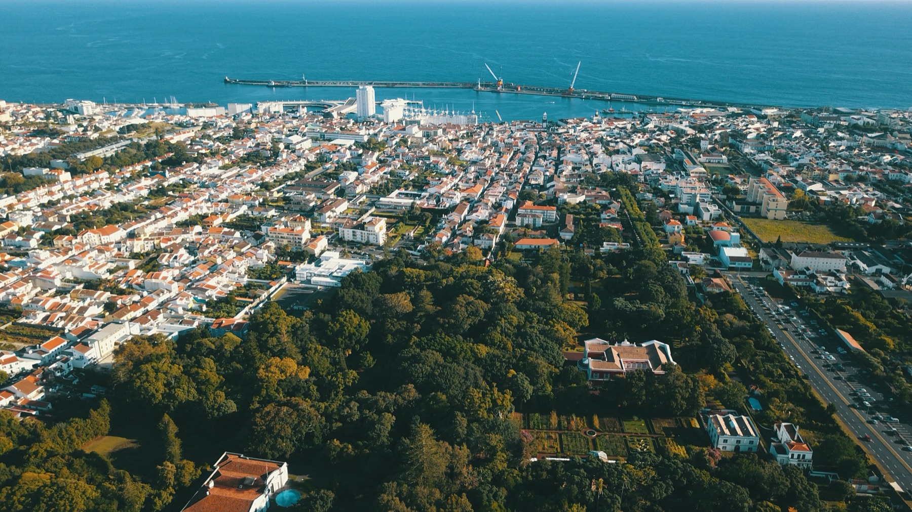 Ponta Delgada and its harbour from the air
