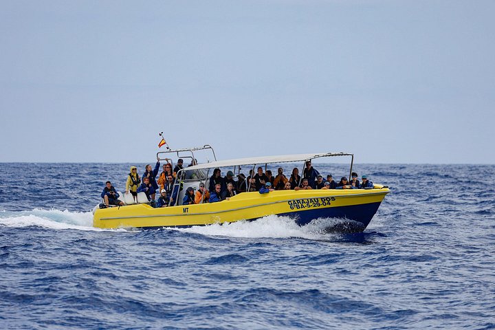 Our Fiberglass Boat