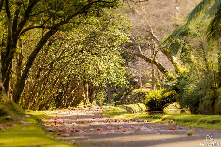 Full-Day Furnas Tour: Hot Springs, Traditional Lunch & Tea, photo 1 of 13