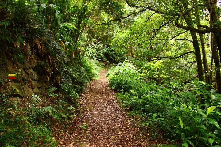 Sanguinho Hike from Ponta Delgada, photo 1 of 8