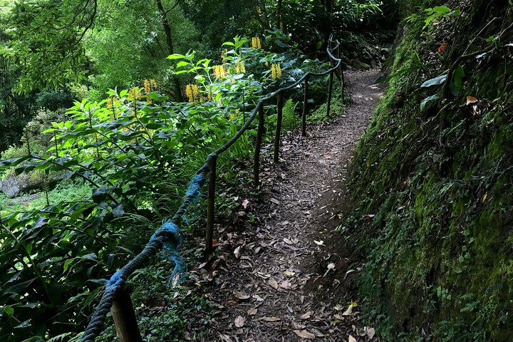 Sanguinho Hike from Ponta Delgada, photo 3 of 8