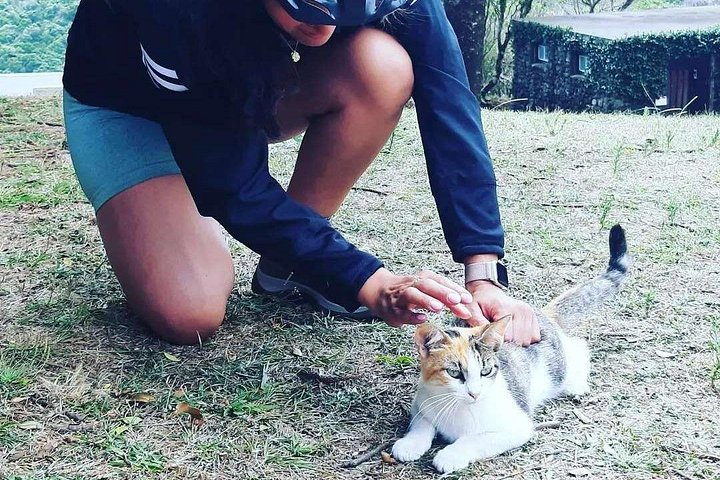 E-Bike Tour Monte Brasil | Terceira Island