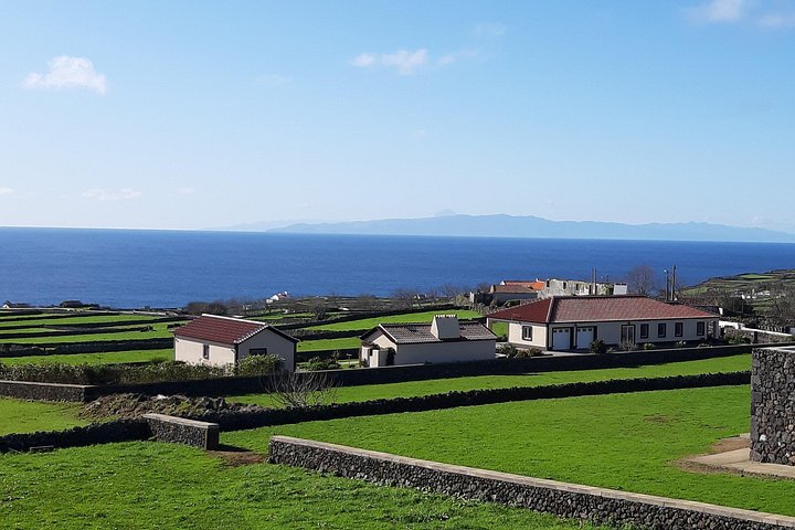West Coast Van Tour (Half Day) | Terceira Island