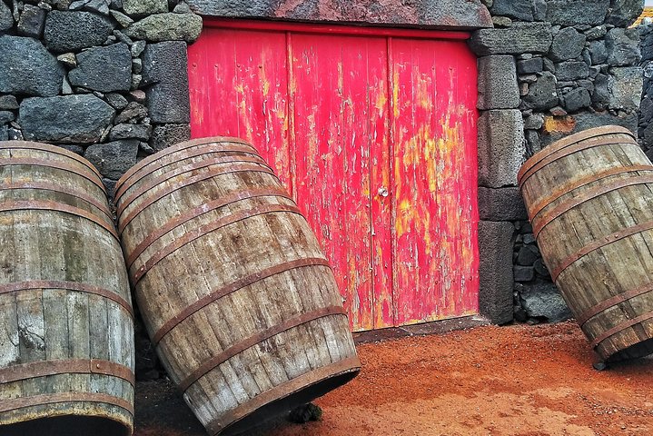 Wine Tour, photo 3 of 11