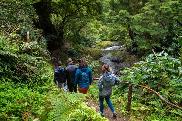 Chasing Waterfalls in the Azores: Nature Tour, photo 3 of 9