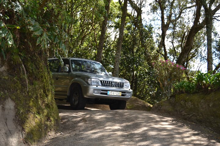 Half Day 4x4 Private tour from Ponta Delgada Azores, photo 3 of 10
