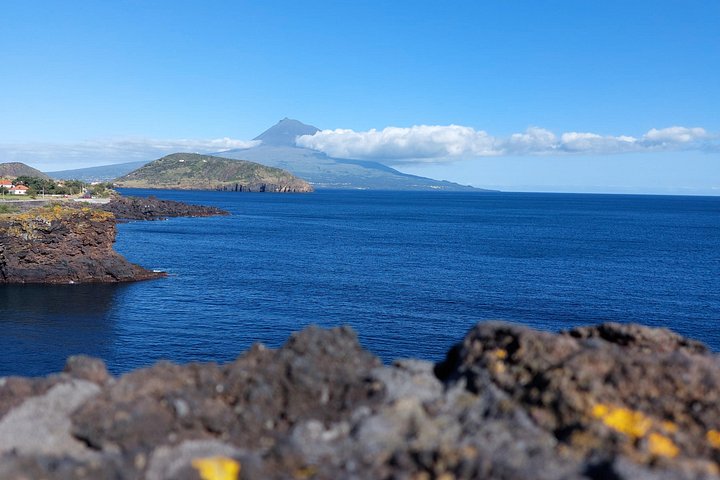 Full Day Tour of Faial Island, photo 2 of 4
