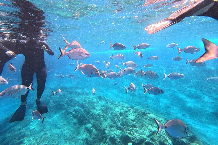 Snorkeling Tour Ilhéu from Vila Franca do Campo, photo 3 of 13