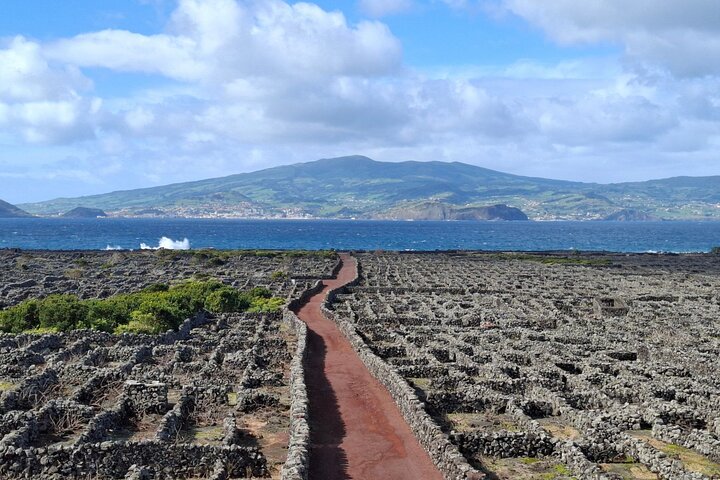Pico Island-Private tour : Highlights (+ optional wine tasting), photo 1 of 10