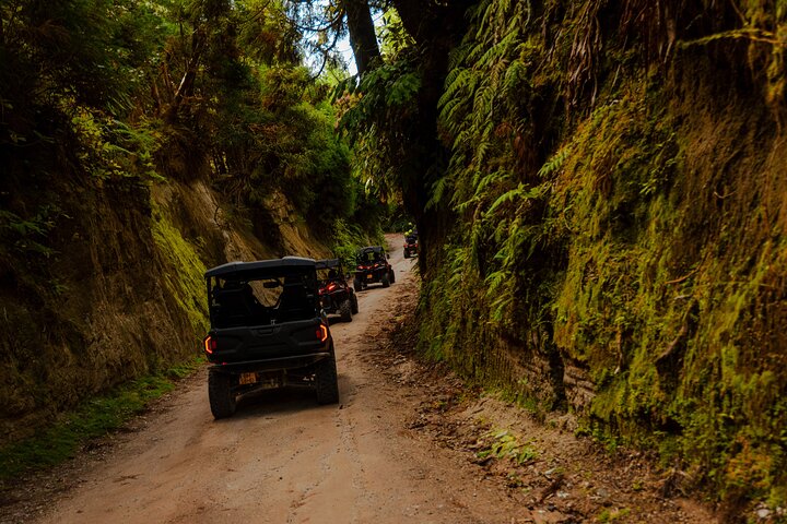 Side by Side Tour - Sete Cidades from North Coast (Half Day), photo 2 of 30