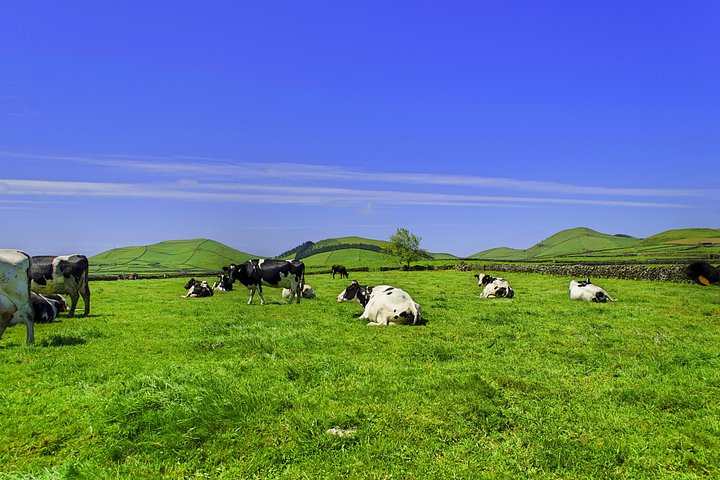 Terceira Island: Full Day Tour