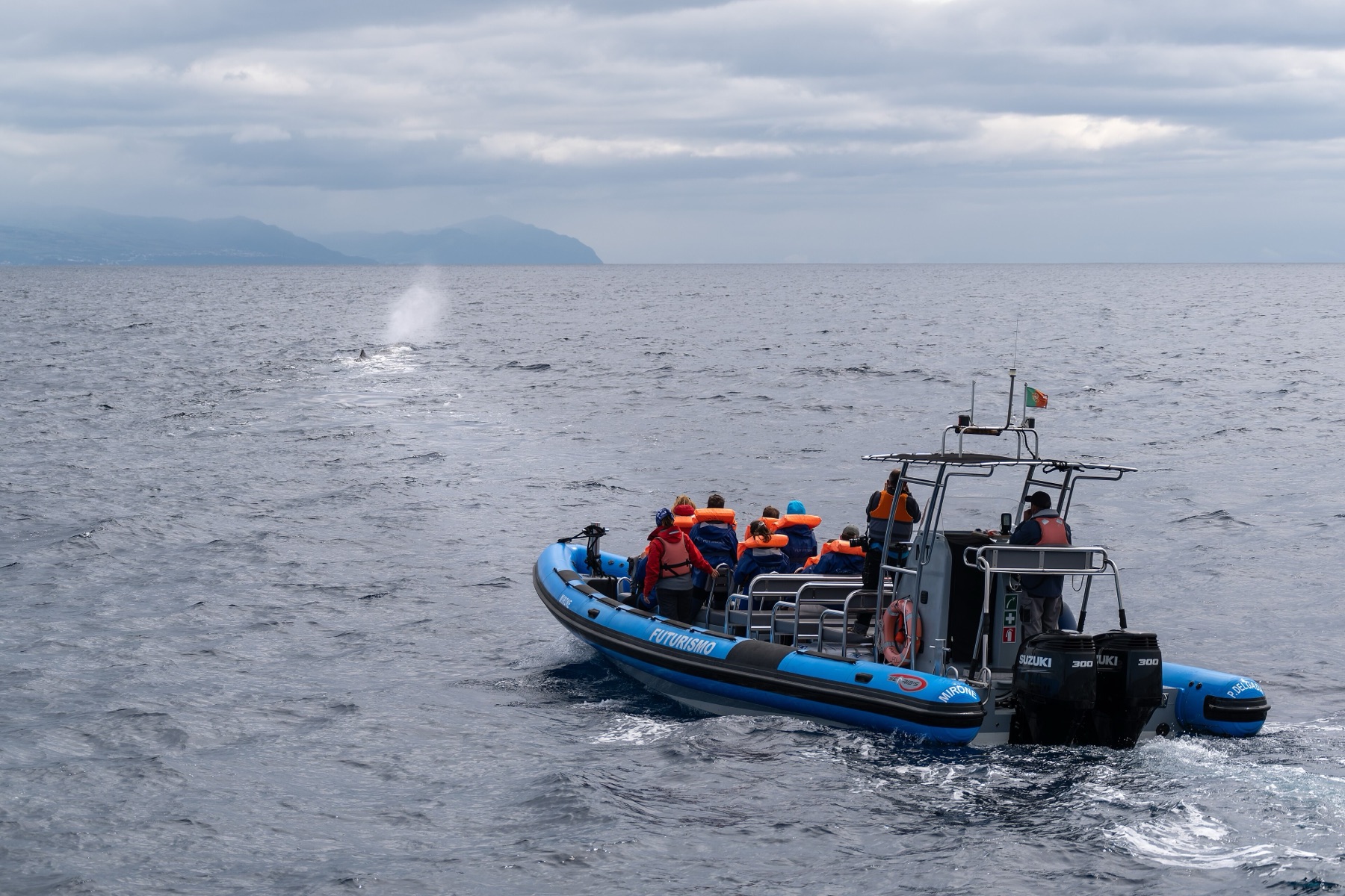 A whale watching boat next to a sperm whale off São Miguel